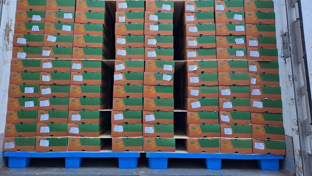 ���� ��������� ��������: ���� � �������� � ������� ������