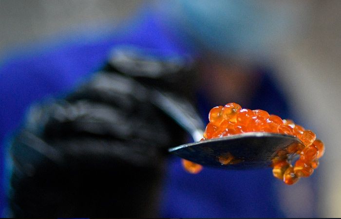 ��������� ������� ����: ������� ���������� ��� ����