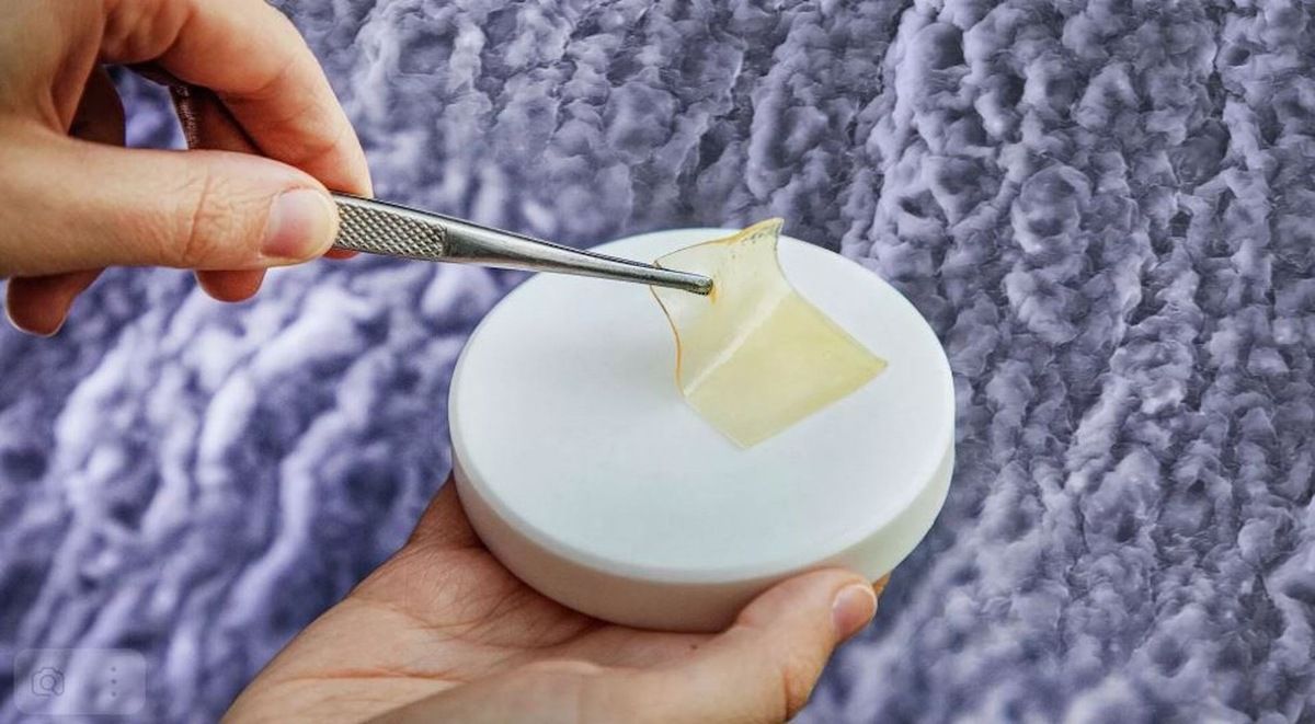 Российские ученые создали уникальные ранозаживляющие пленки из коллагена трески