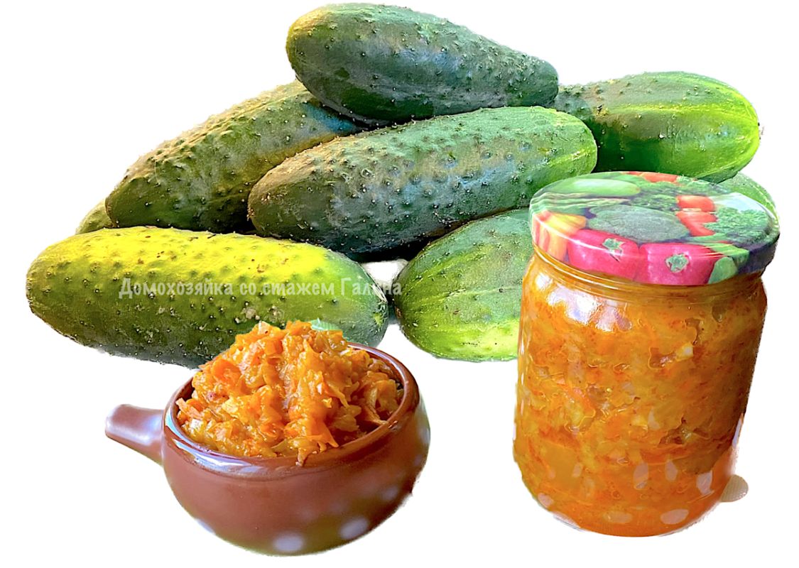 ��� ���������� ������ ���������� ������� ��������