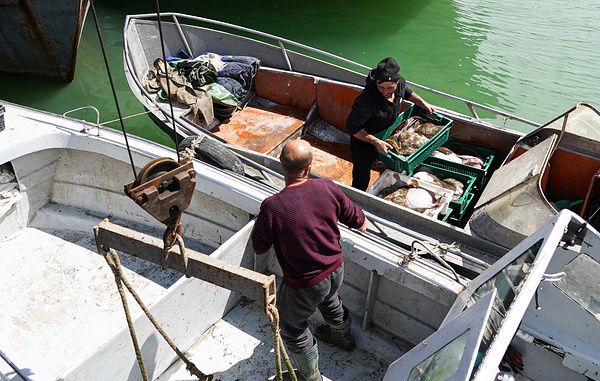 ���������� � ����������� �����: ��� ��� ����� �������� ����������� � ������