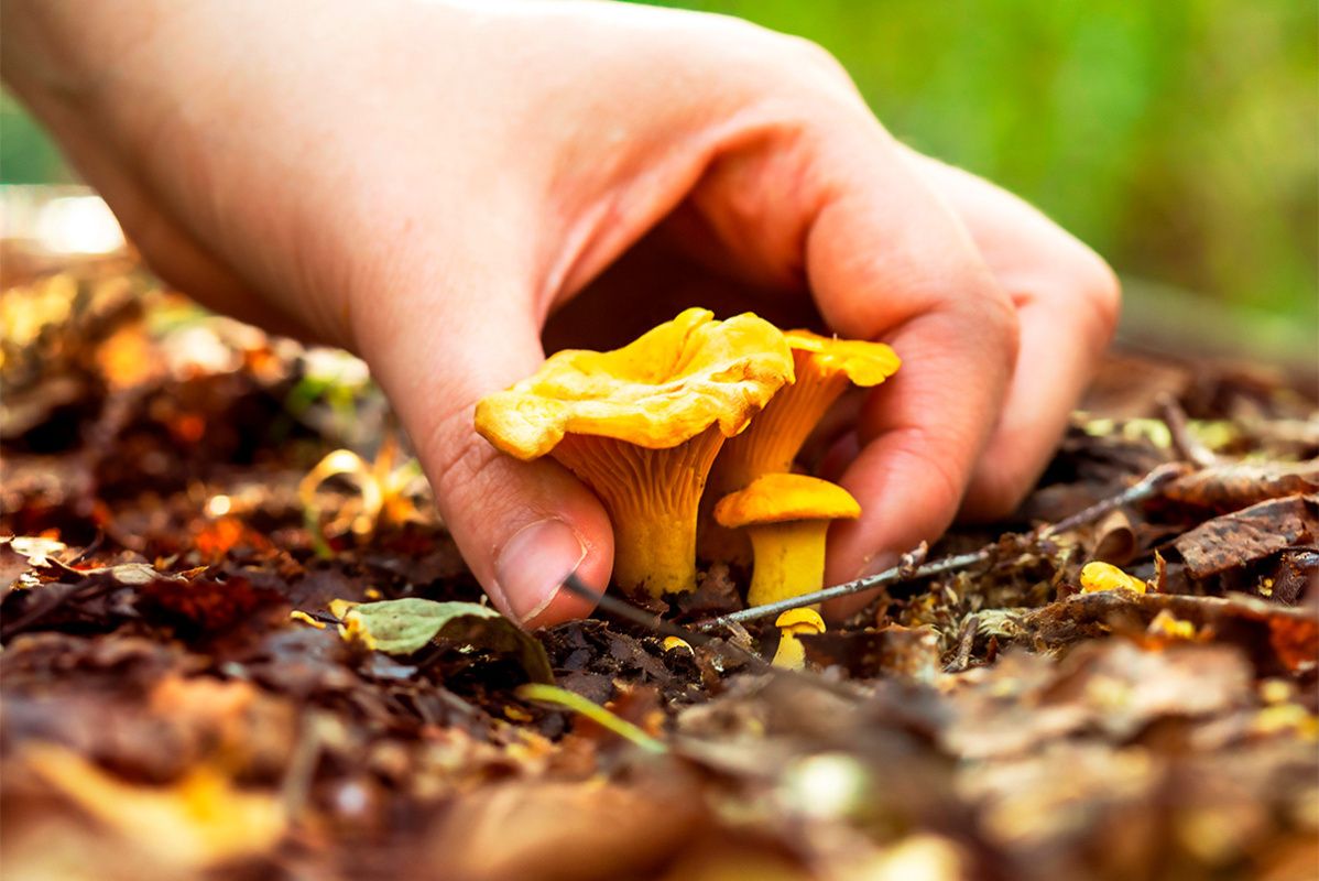 � ����������� ���� ��������� ���������� ���� � ������������ ������