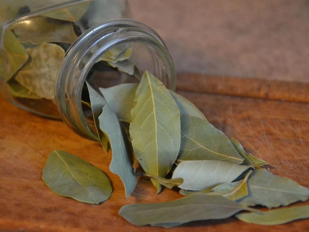 ������ ��������� ������� ��������� �������� ���� � �����?