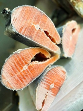 ������ ����� � ���������������� ������