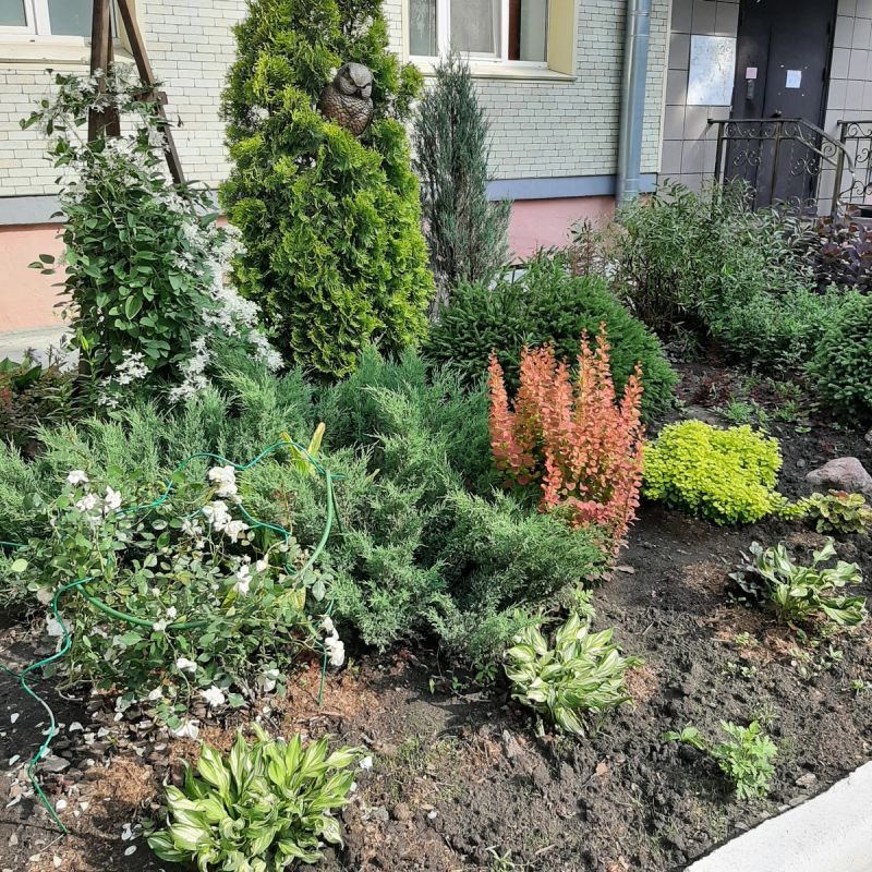 ��������� ��� � ����� �����������-�����������: ��������� ������ �� ���