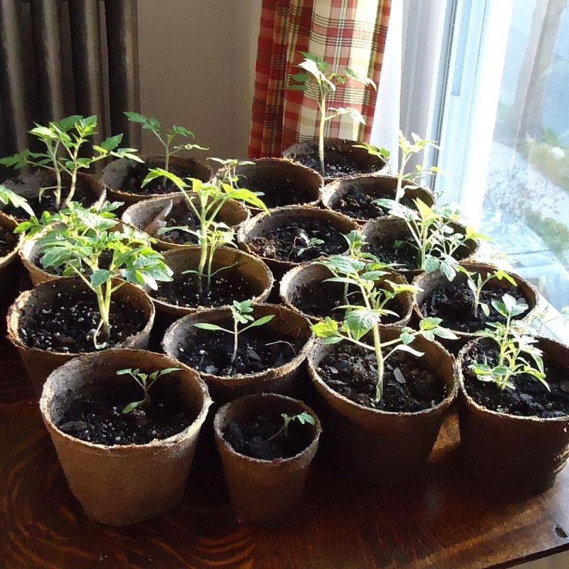 ������ �����: ��� ��������� ������� ������� � �����