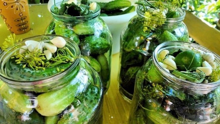 ������������ ������� ������ � ������ ������: ��������� ������