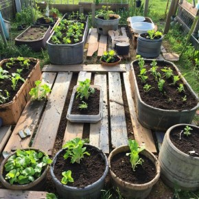 ������ �� ��������� ����������: ��� ������� ��������� ������ ��� ������ ����