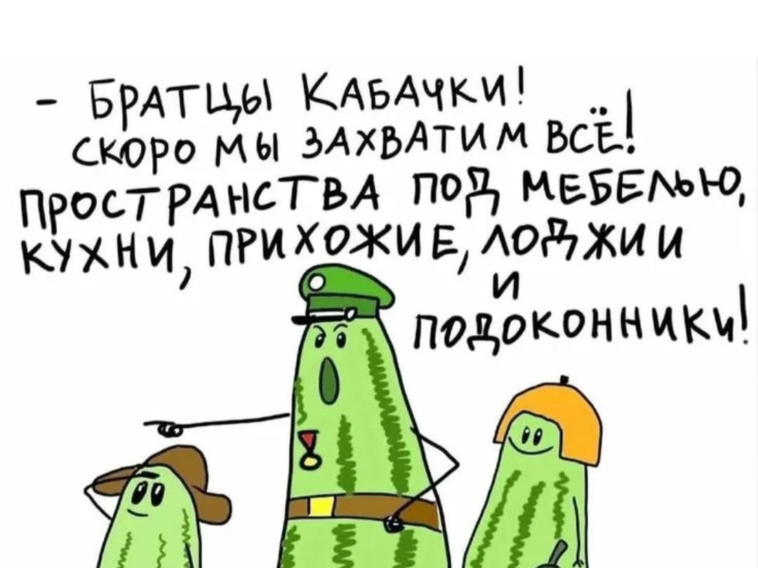 Нежный кабачковый пирог: идеальный вариант для любого времени