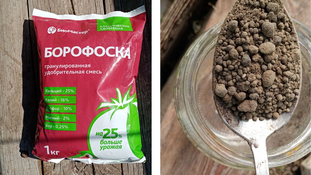 ��� ��������� ������ ������ � ���� �� 25% � ������� �������� ���������