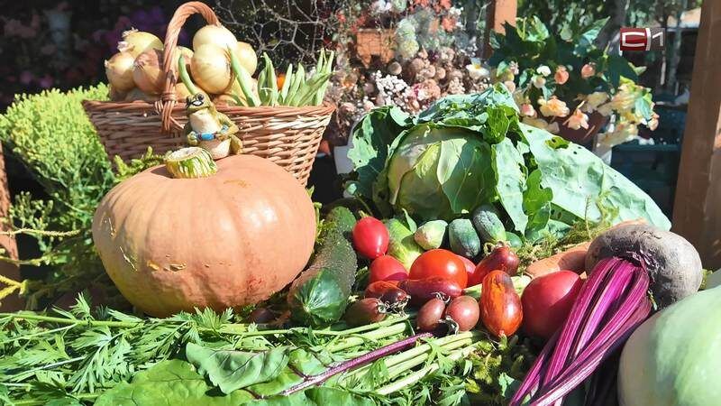 ��� ��������� ����������� �������� ��� �������: ������ �� ���������