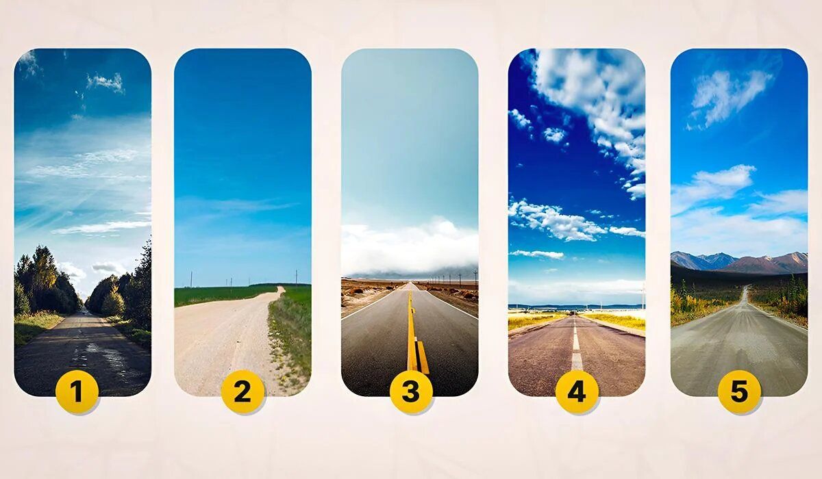 ��� ���� ��������� � ����� ������ ���������: ������������ ��������������� ����