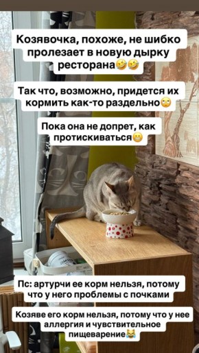 Секреты диетического выживания: как сбалансировать пищу и удовольствие