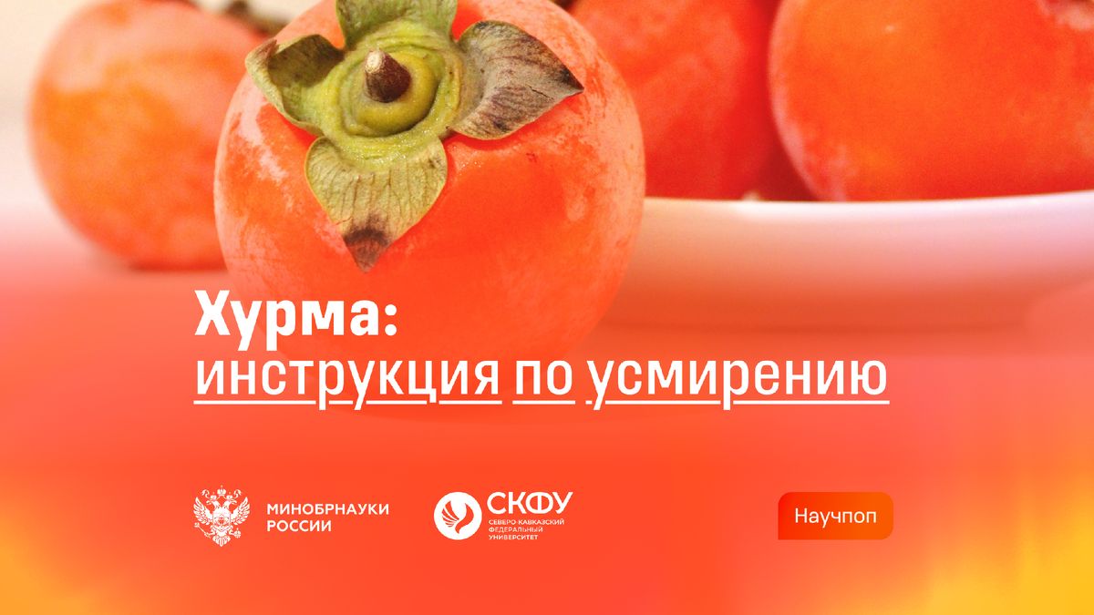 Почему хурма вызывает сухость во рту и как этого избежать