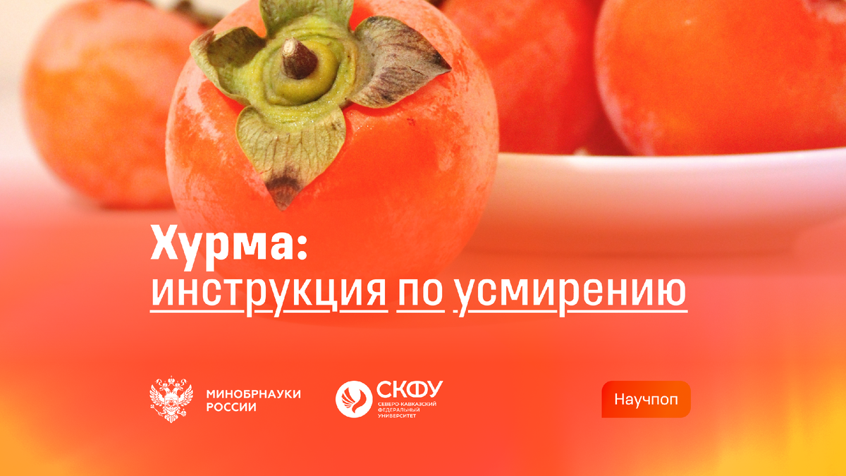 Почему хурма вызывает сухость во рту и как этого избежать