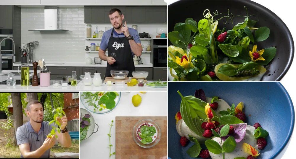 Как свежие травы могут изменить привычные блюда