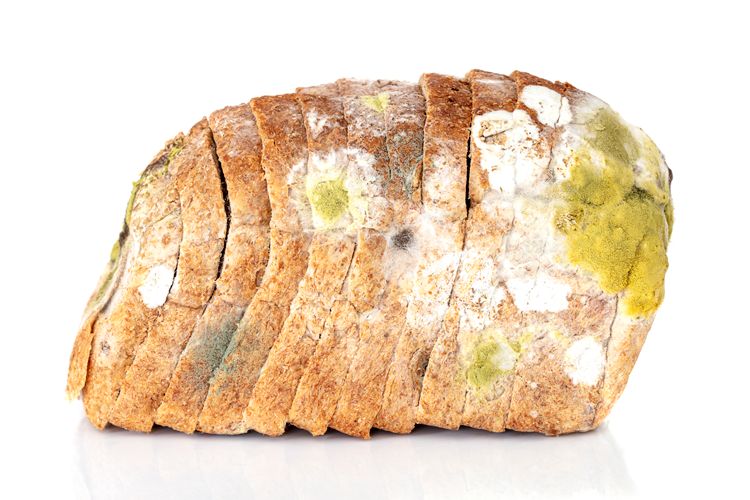 Почему некоторые плесневые продукты безопасны, а другие — нет