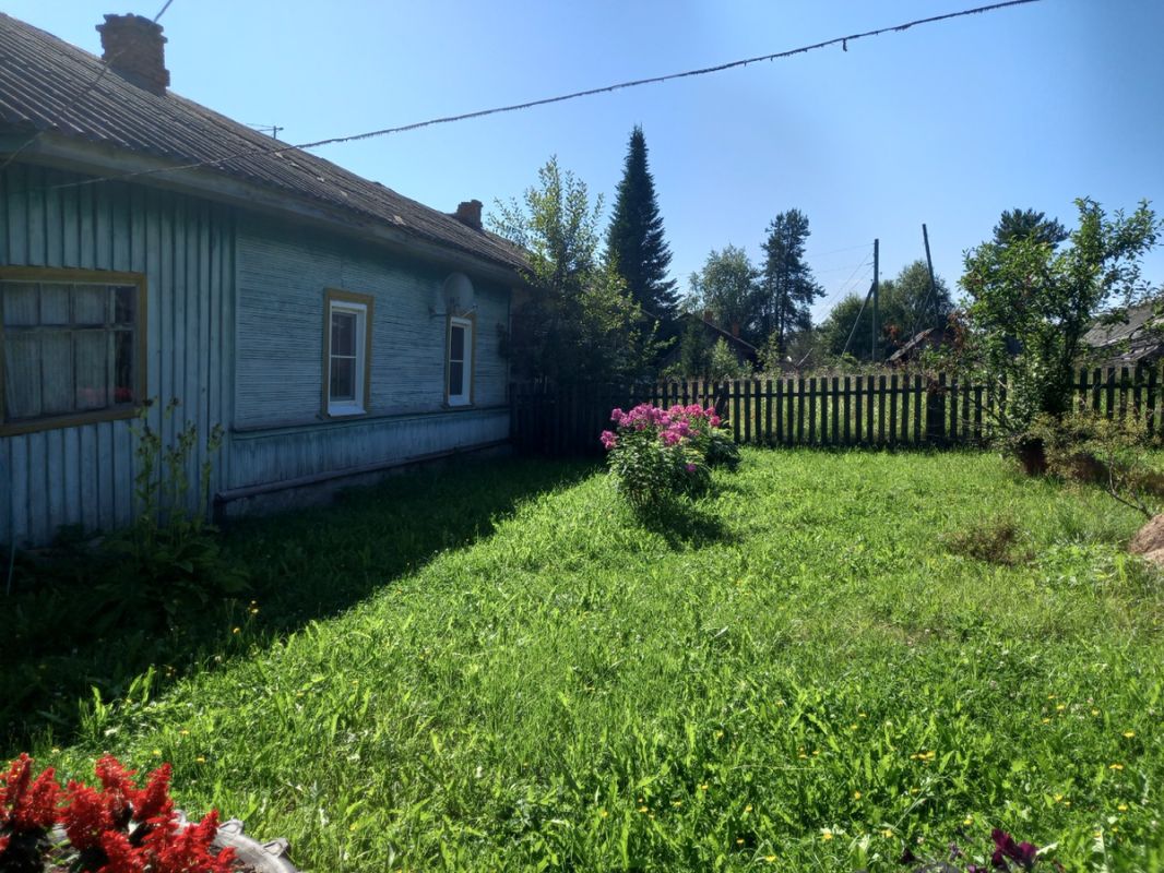 Как бабушки на пенсии находят радость и смысл: мёд, грибы и экскурсии