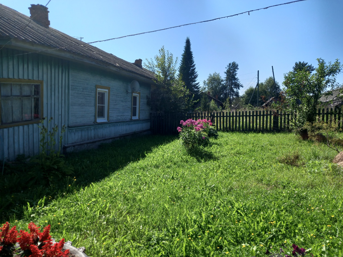 Как бабушки на пенсии находят радость и смысл: мёд, грибы и экскурсии