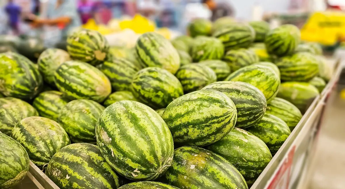 Как правильно выбрать спелый арбуз: советы экспертов