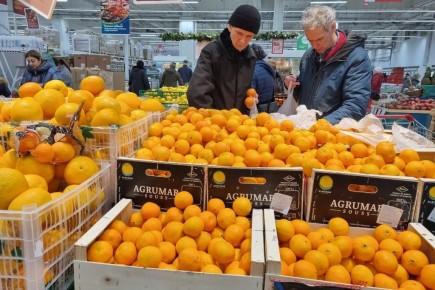 Экономист оценивает идею ограничения цен на продукты к Новому году