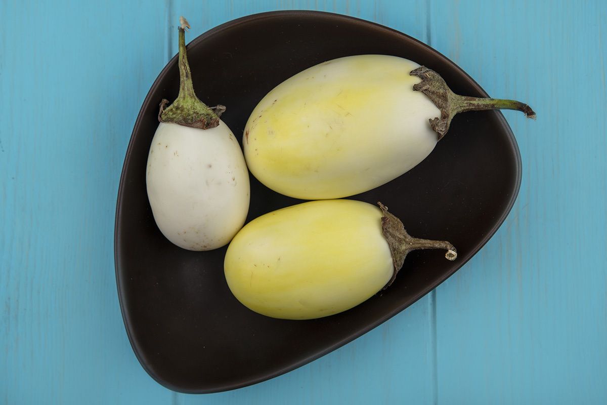 � ������� ��������� �������� ������ ����������� ���� � ����������� � ������