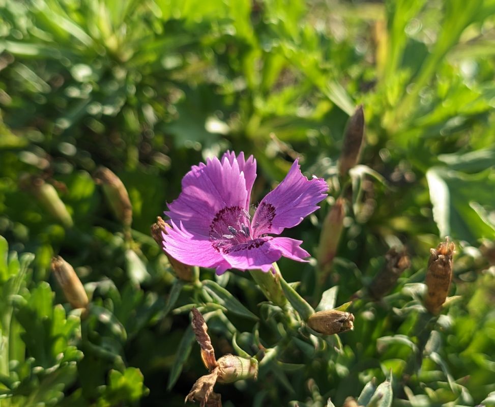 ��������: ���������� ����� ������ � ������� �����