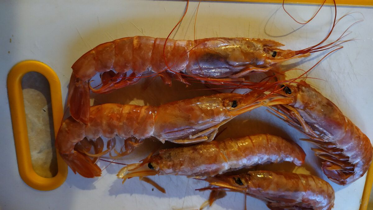 Волшебство лангустинов: как приготовить морское лакомство на отдыхе