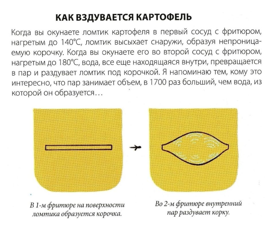 ��������� ��������� ���: ������� ��������� �������