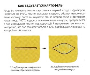 ��������� ��������� ���: ������� ��������� �������