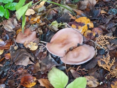 �������� �����: ������� ����������� � ������ ����