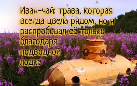 ����-���: �������, ������� ��������� ��������� ��������� �����