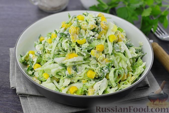 ����� �������� �����: ������ ����������� �� �������