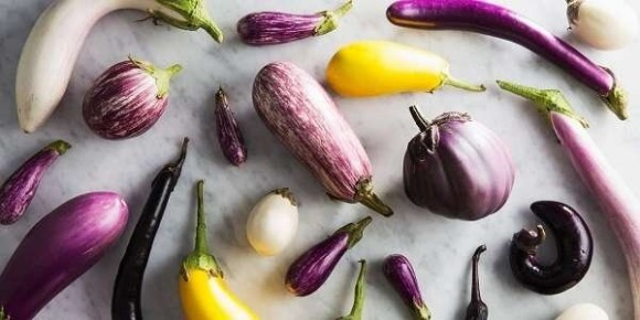 ������ ����� ��������� ��������� ��������� � ���� ������