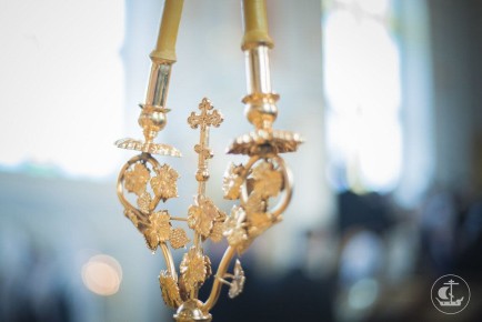 �������� �����������: ��� ����� ����� � ��������� ���� ����� ������� ������