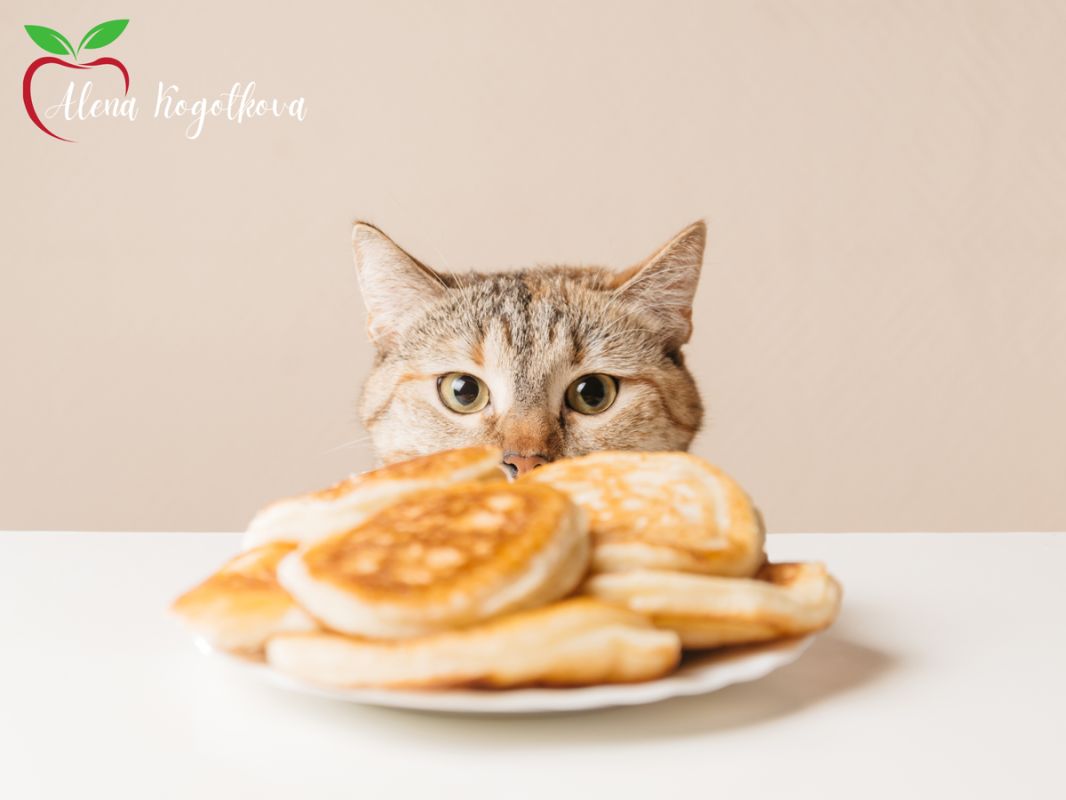 Почему вопрос о блинах вызывает столько споров среди диетологов