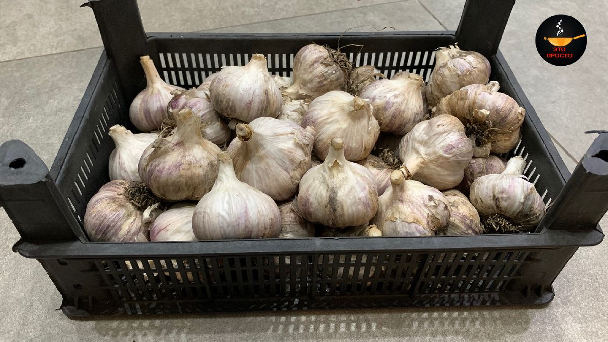 Как сохранить чеснок свежим на целый год: секреты и советы