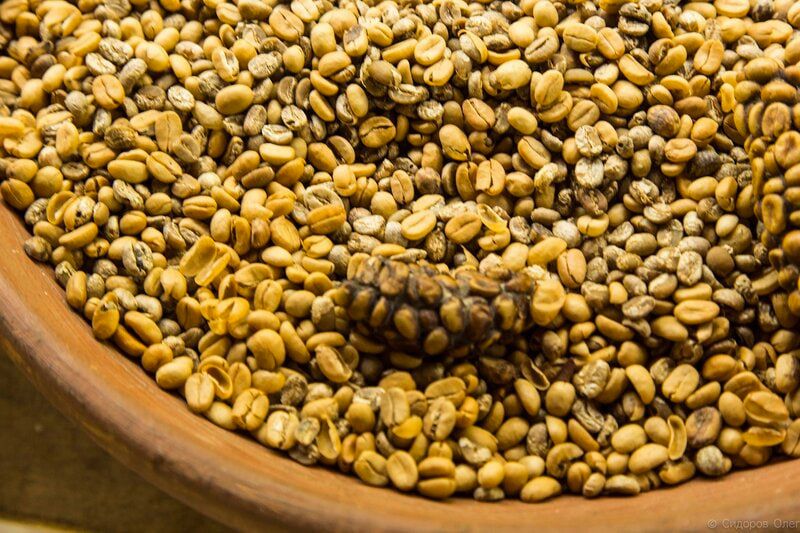 Топ-3 необычных блюд, которые туристы пробуют, несмотря на их репутацию