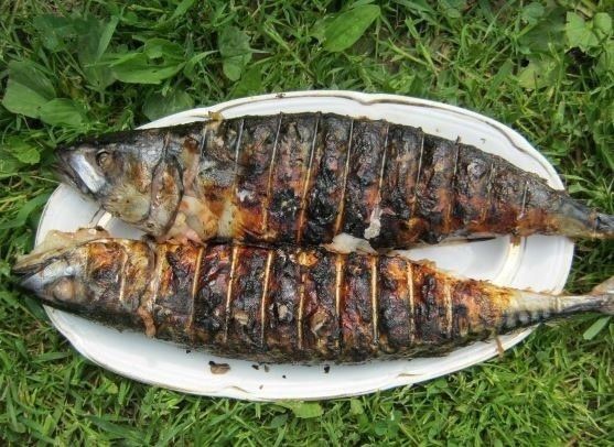 Вдохновение для летнего ужина: скумбрия с кунжутным луком