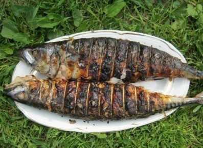 ����������� ��� ������� �����: �������� � ��������� �����