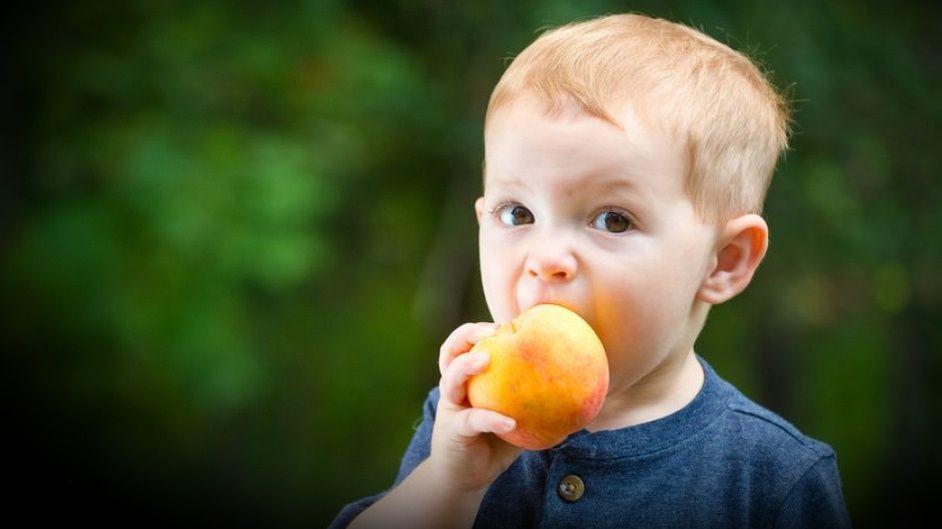 ������� � ��������: ������� ������������ ������ �� ����� ����