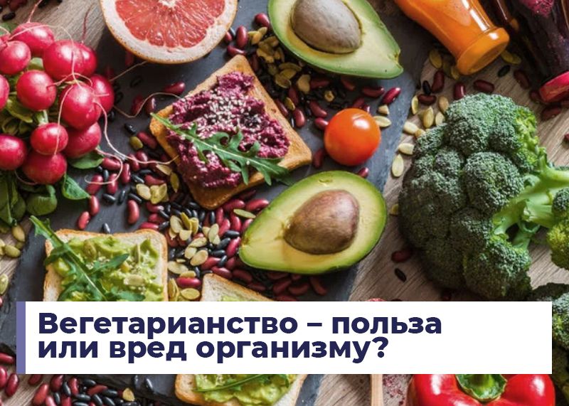 Вегетарианство: важные аспекты безопасности и сбалансированности питания