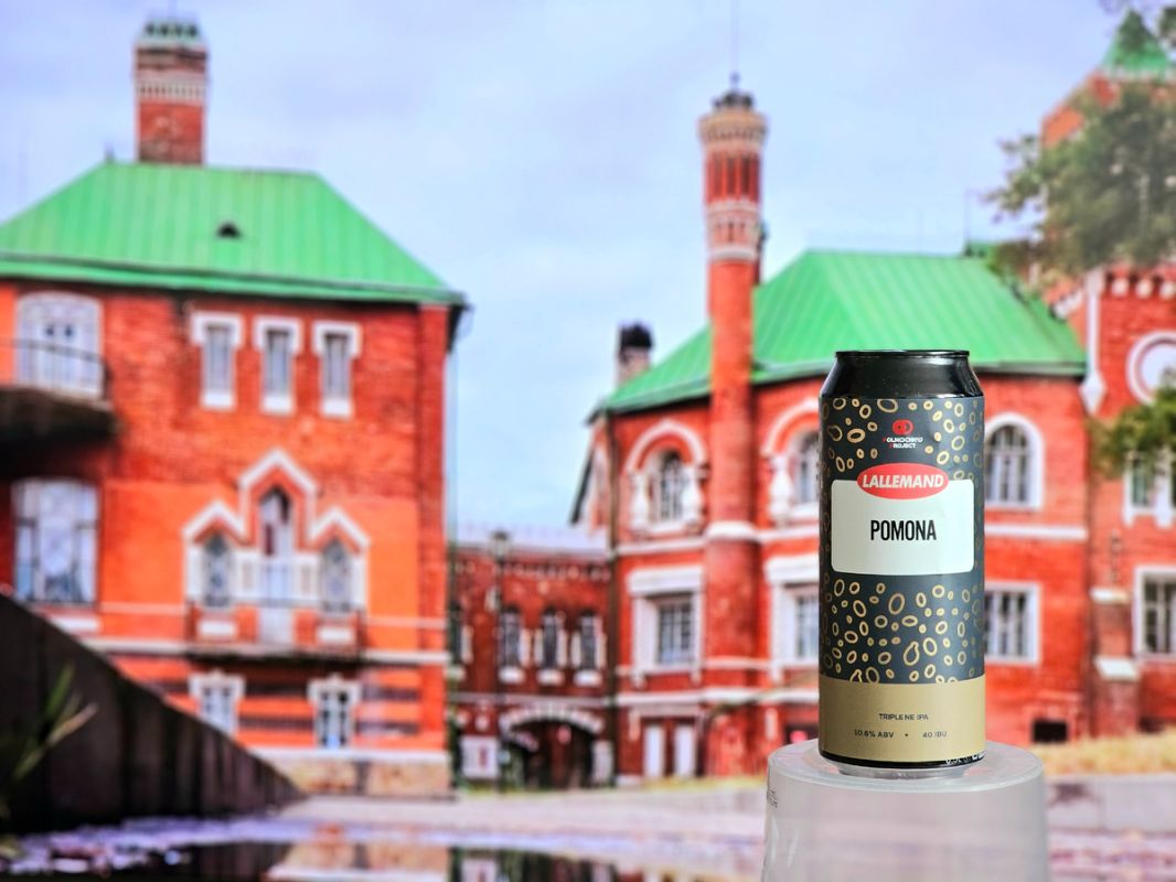 Крепкое пиво на новых дрожжах: магия LalBrew Pomona или разочарование?