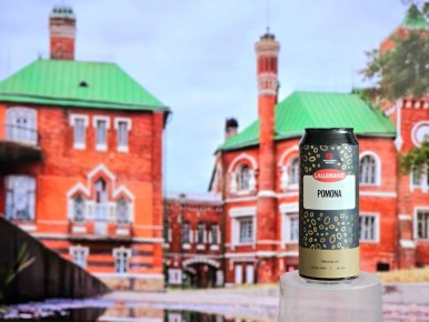 Крепкое пиво на новых дрожжах: магия LalBrew Pomona или разочарование?