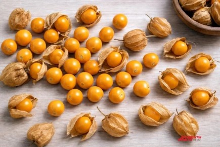 �������: ��������� ������ ���� � �������� ����� � ������� �����