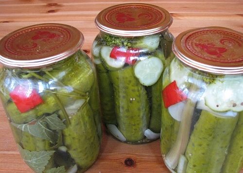 ��� ����������� ������������ ������ �� ������������� �������: ������� �� ������� ������