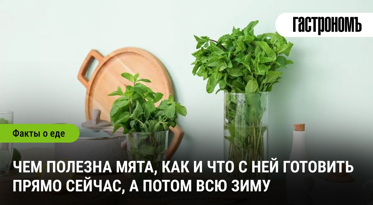 Мята: секреты применения и рецепты на все времена года