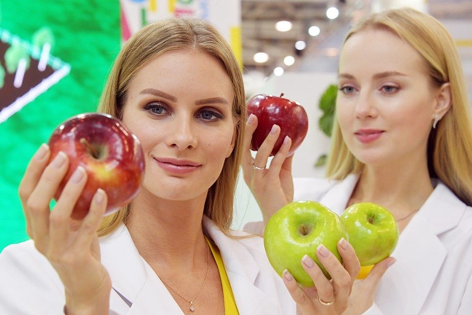 ������: ������, ���� � ������� ����������� �����������