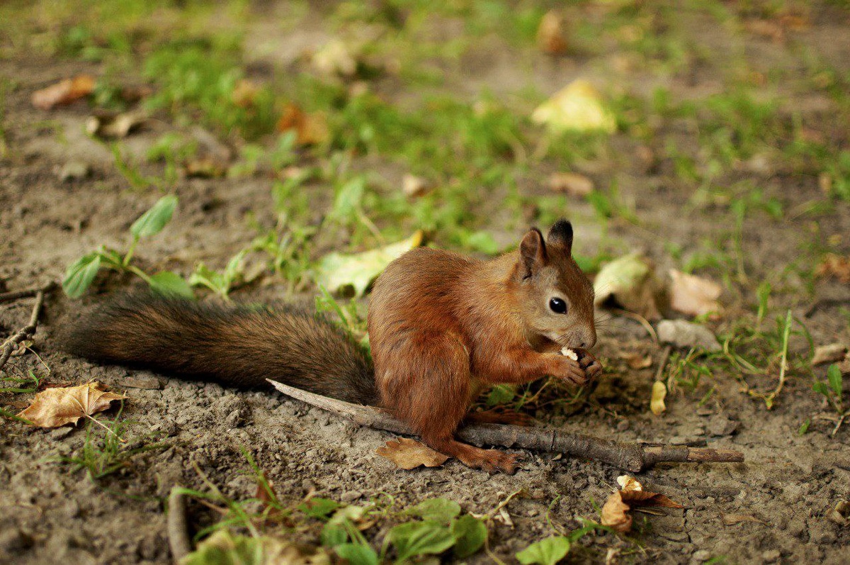 Как освоить искусство зимних заготовок: простые и необычные идеи