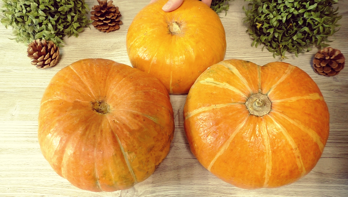 Новые находки на Wildberries и вкусный рецепт тыквенной каши